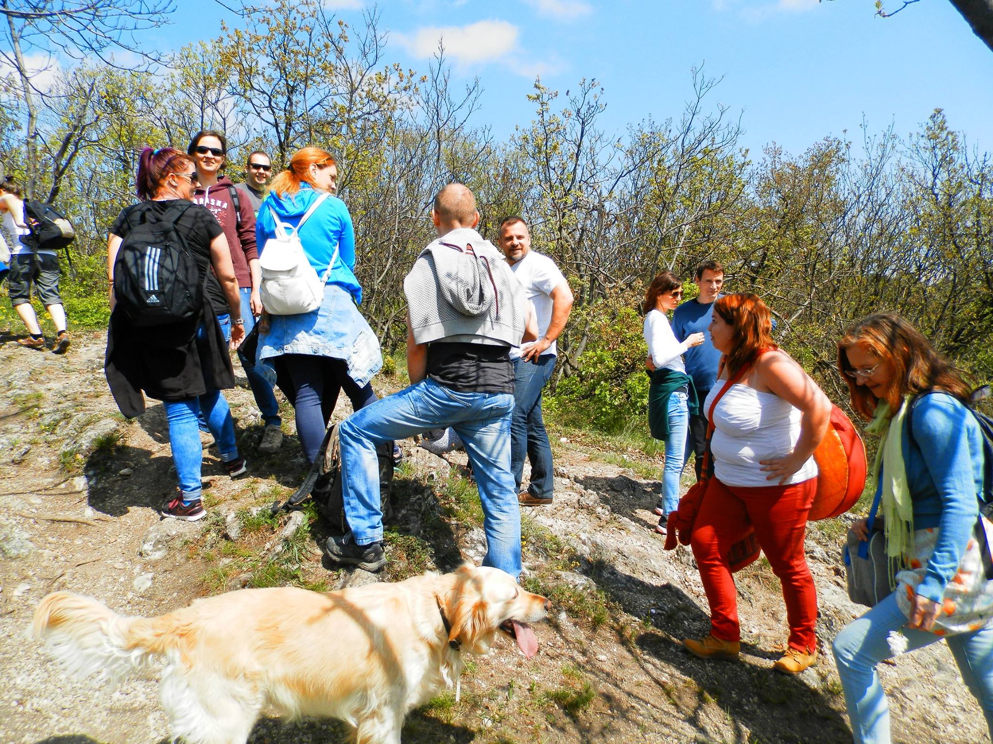 inta_majalis_21_Maj1_2017